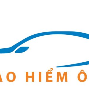 bao_hiem_xe_ford